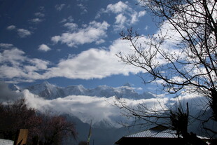 山间云景 枝头伴蓝天