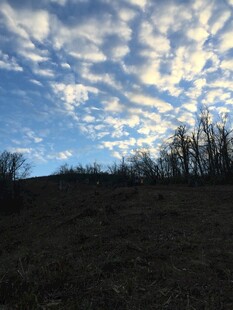 黄昏下的草地与天际云彩