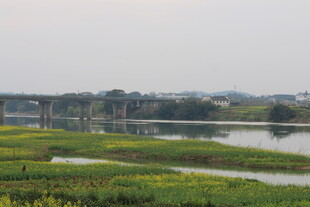 河畔绿野风光