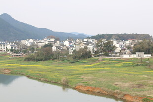 乡村河畔美景