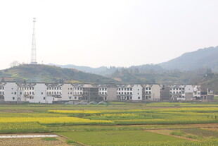 乡村田野旁的白色建筑群