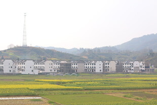 乡村田野旁的白墙建筑群