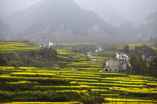 雾中梯田与村落美景