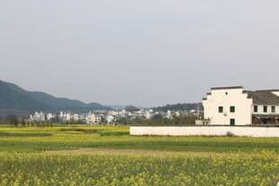 田园风光中的白墙房屋