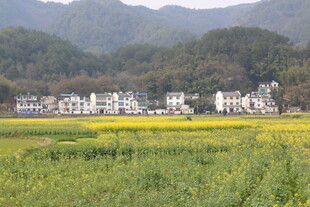 田园山村美景