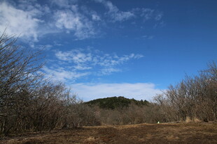 蓝天旷野间的萧瑟景致