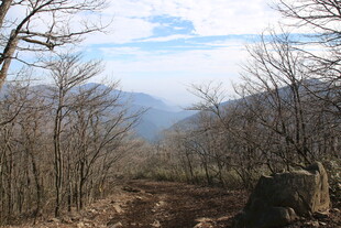 山间小道 冬日萧瑟景致