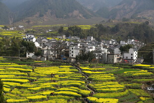 皖南梯田村落田园风光