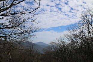 冬日山林远景