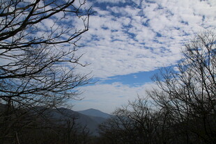 冬日山林上空的云景