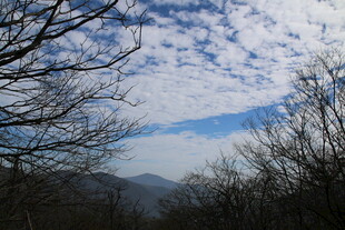 山林蓝天枯树风景图