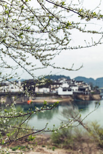 婺源江南水乡风景图