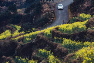 婺源山间公路上行驶的白色汽车