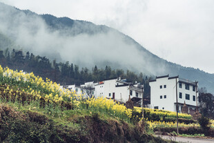 婺源山间村落 田园诗意美景