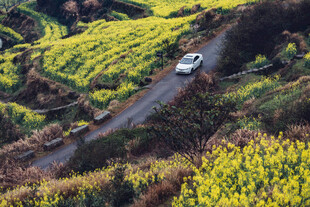 婺源山间公路上行驶的白色汽车