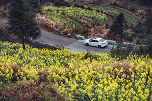 婺源山间公路上的白色汽车