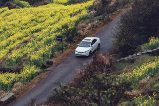 山间公路上的白色汽车