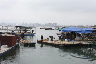 湛江港口码头船只停靠景象