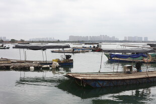 湛江海上停泊的船只与码头