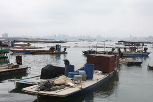 湛江水上停泊的船只与人物