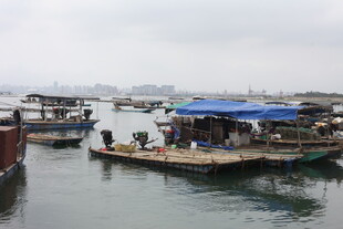湛江水上渔村景象