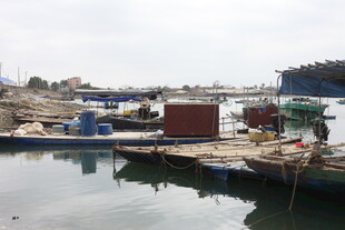 湛江港口码头景象