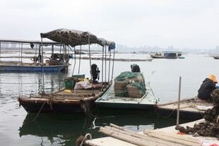 湛江海边停泊的简易渔船