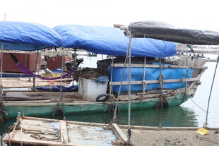 湛江停靠在码头的多彩船只