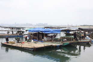 湛江水上人家的简易船只