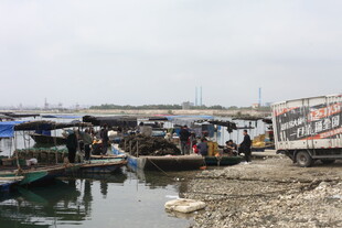 湛江河边热闹的水上交易场景