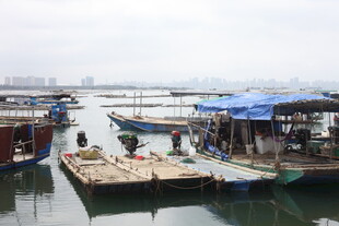 湛江港口停泊的船只与棚屋