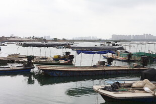 湛江宁静港湾中的停泊船只