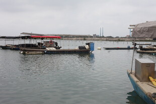 湛江码头停泊船只的水面景象