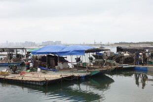 湛江水上渔村码头场景