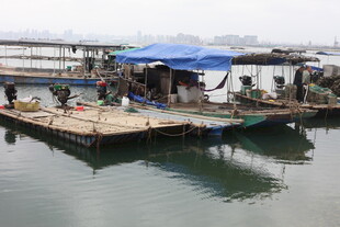 湛江水上浮动平台 生活场景