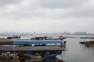 湛江江边停泊的船只景观
