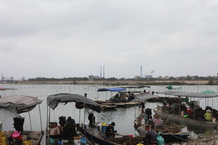 湛江河边热闹的乘船场景