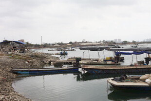 湛江河边停泊的多艘简易船只