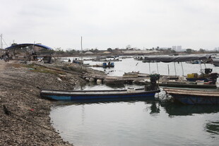 湛江宁静港湾中的停泊小船