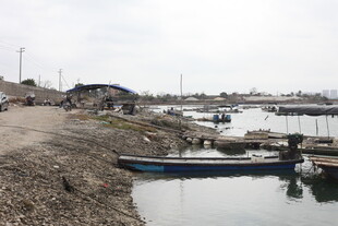 湛江宁静码头停靠着几艘小船