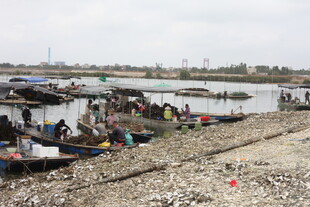 湛江河边停泊的船只与人群