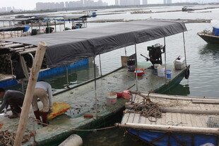 湛江水上渔村场景