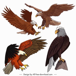 雄鹰图案