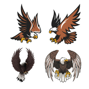 雄鹰图案