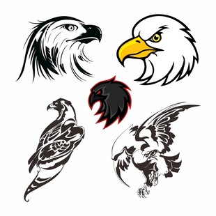 雄鹰图案