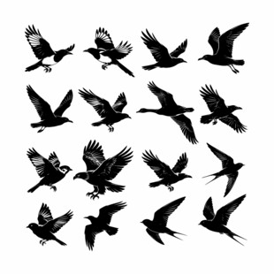 鸟类飞翔矢量剪影