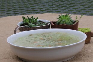 碗中汤品与多肉植物搭配