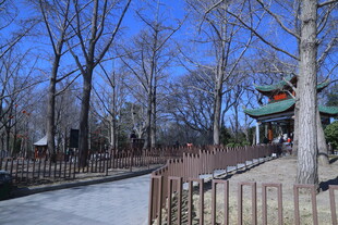 公园风景 