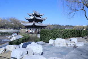 公园风景 