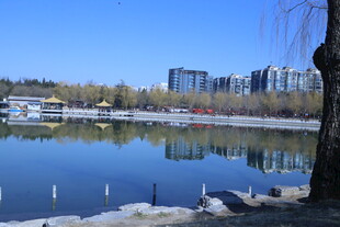 公园风景  